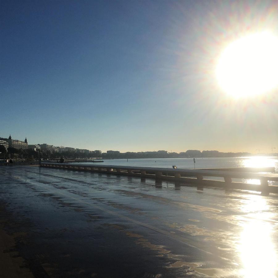 T2 Proche De La Gare, A 10 Minutes A Pieds De La Croisette, Piscine & Parking Dans De Standing Cannes